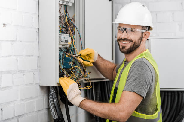Best Electrical Upgrades for Homes  in Marissa, IL