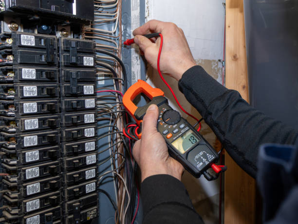 Best Electrical System Inspection  in Marissa, IL
